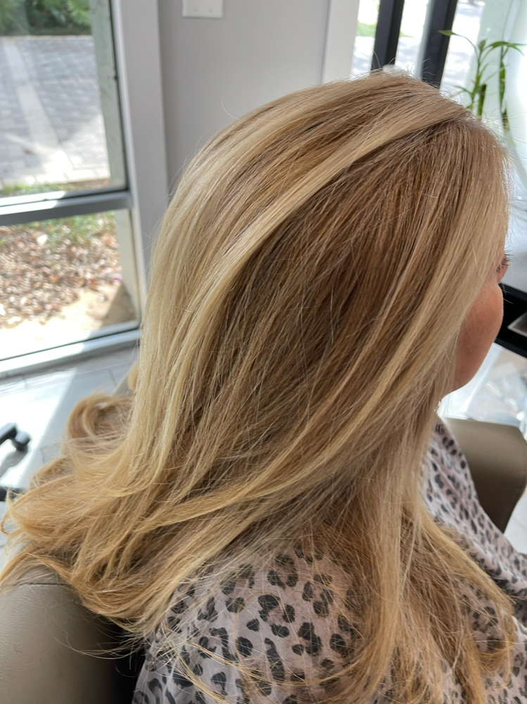 Root Touch Up With Face Frame Foils
