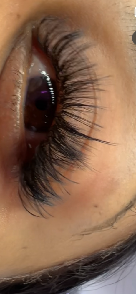 Mink Lash Application