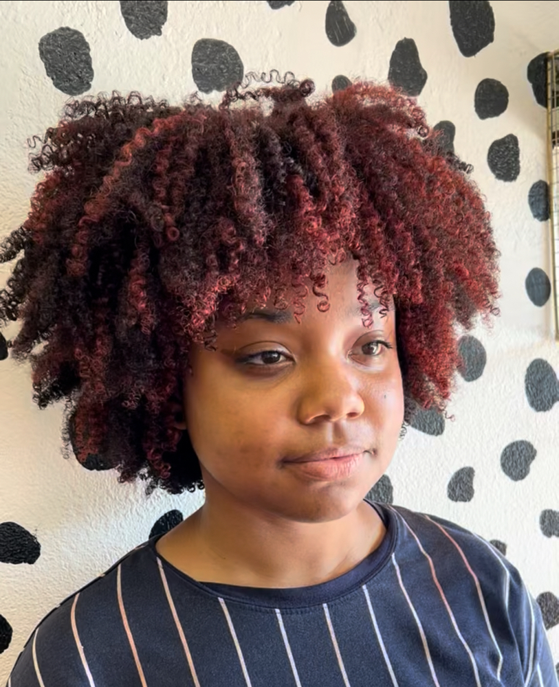 Dry Curly Cut Trim Only