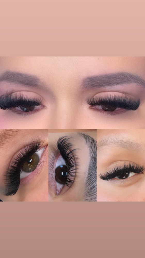 Lash Training