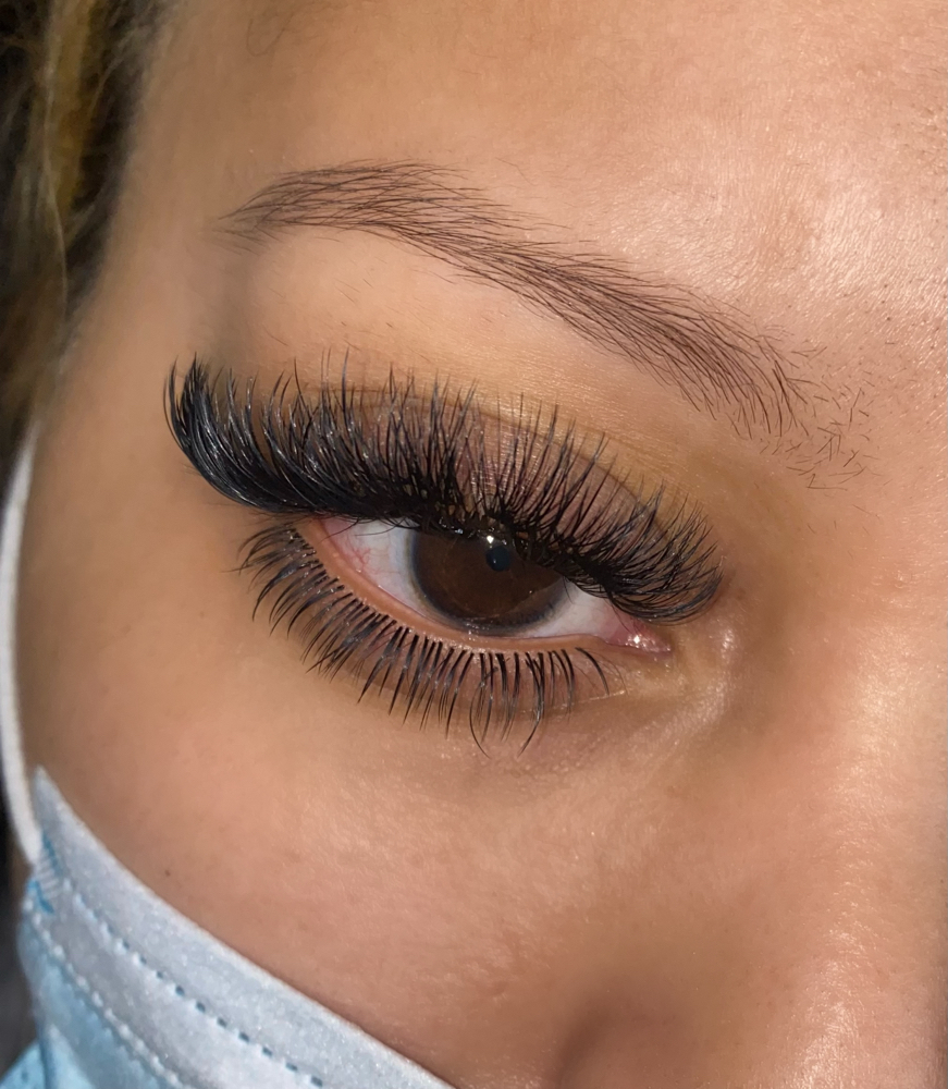 Bottom Lashes