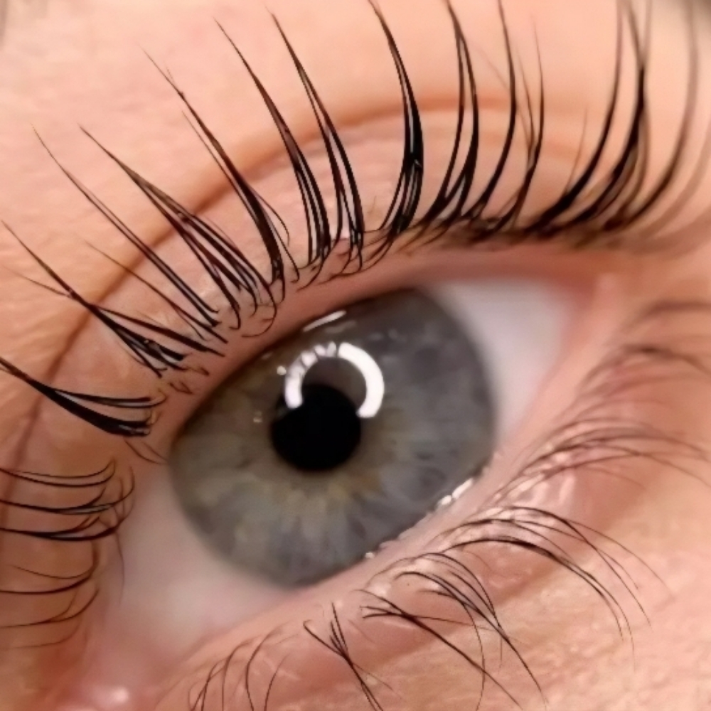 Lash Lift And Tint at Aglow Skin Body Soul in Issaquah, WA