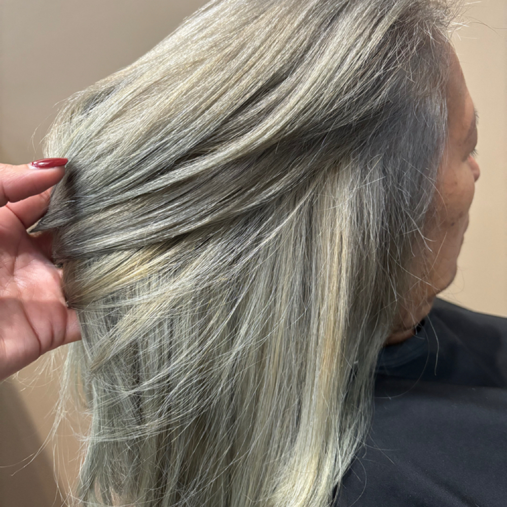Grey Blending at Leo’s Chair in Sunnyside, NY