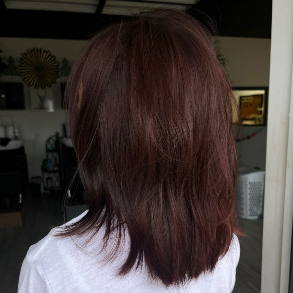 All-Over Color at ThatHippieStylist in Paducah, KY