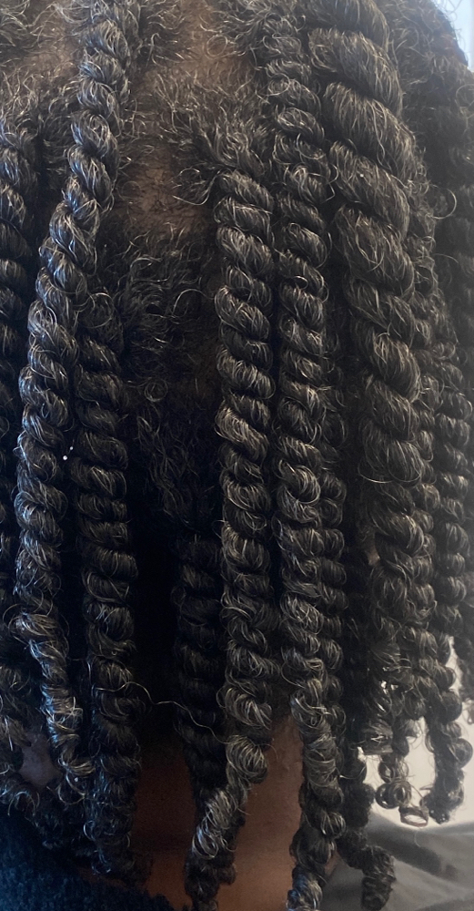 Two Strand Twist