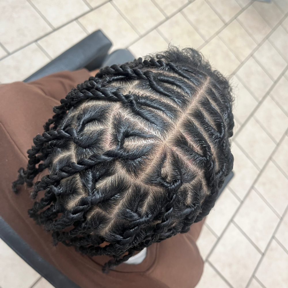 2-Strand Twists  (NATURAL HAIR)