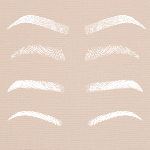 Eyebrows at Crown’d Esthetics in Tampa, FL