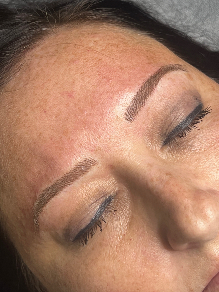 6 Week Brow Touch Up