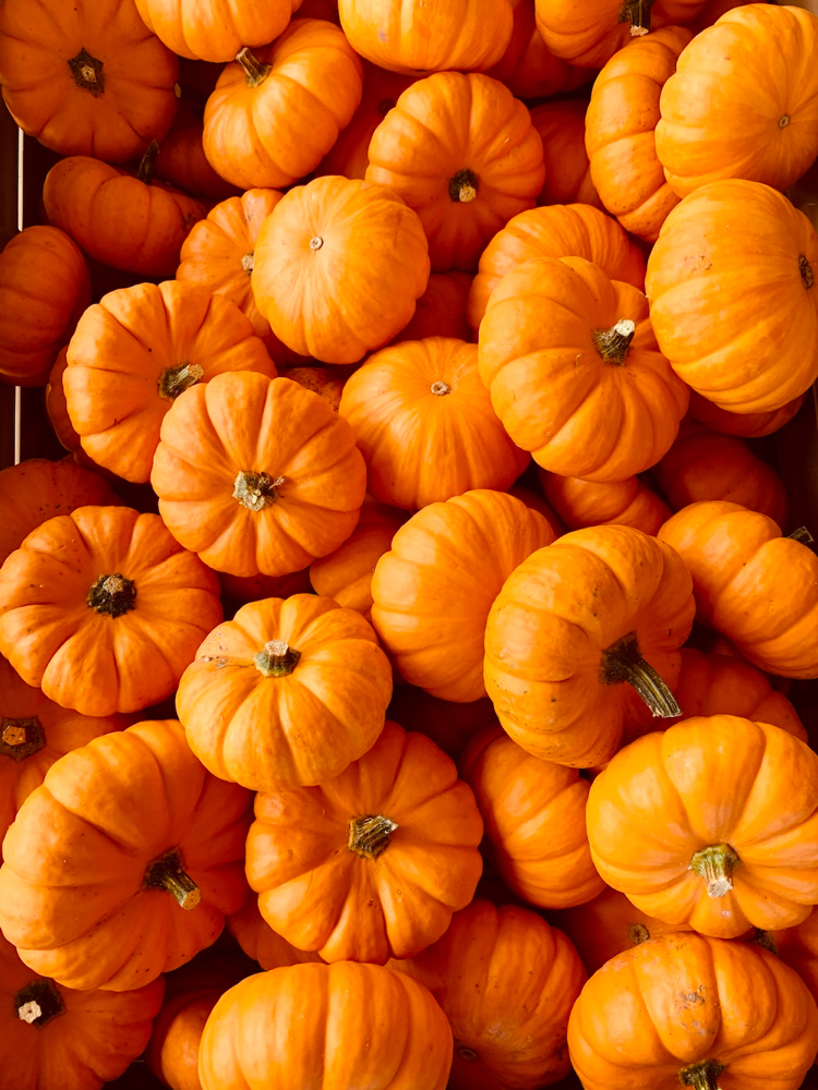 Pumpkin Peel Facial