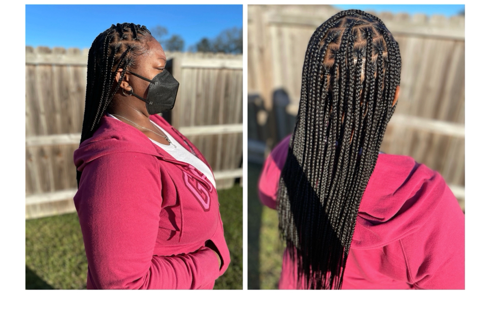 Medium Knothless (Adults) $