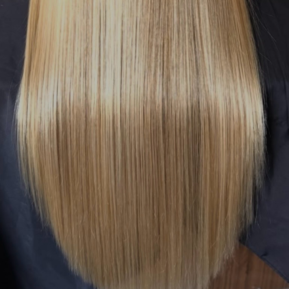 Express Dry Cut at Salon Dahlia in Brandon, FL