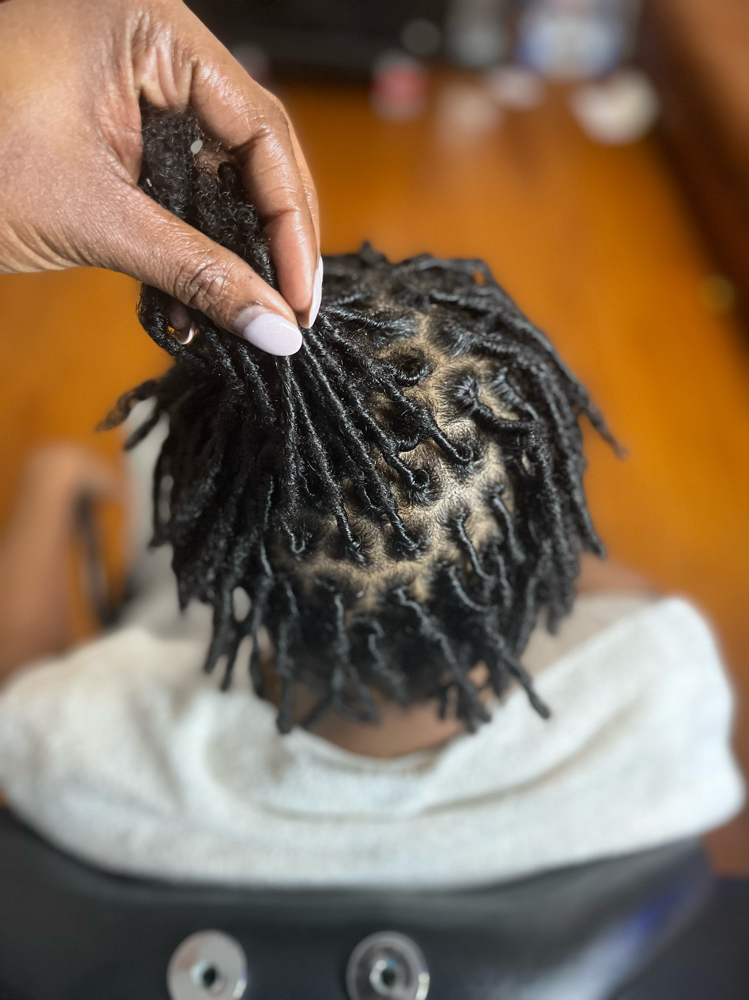 Starter Locs