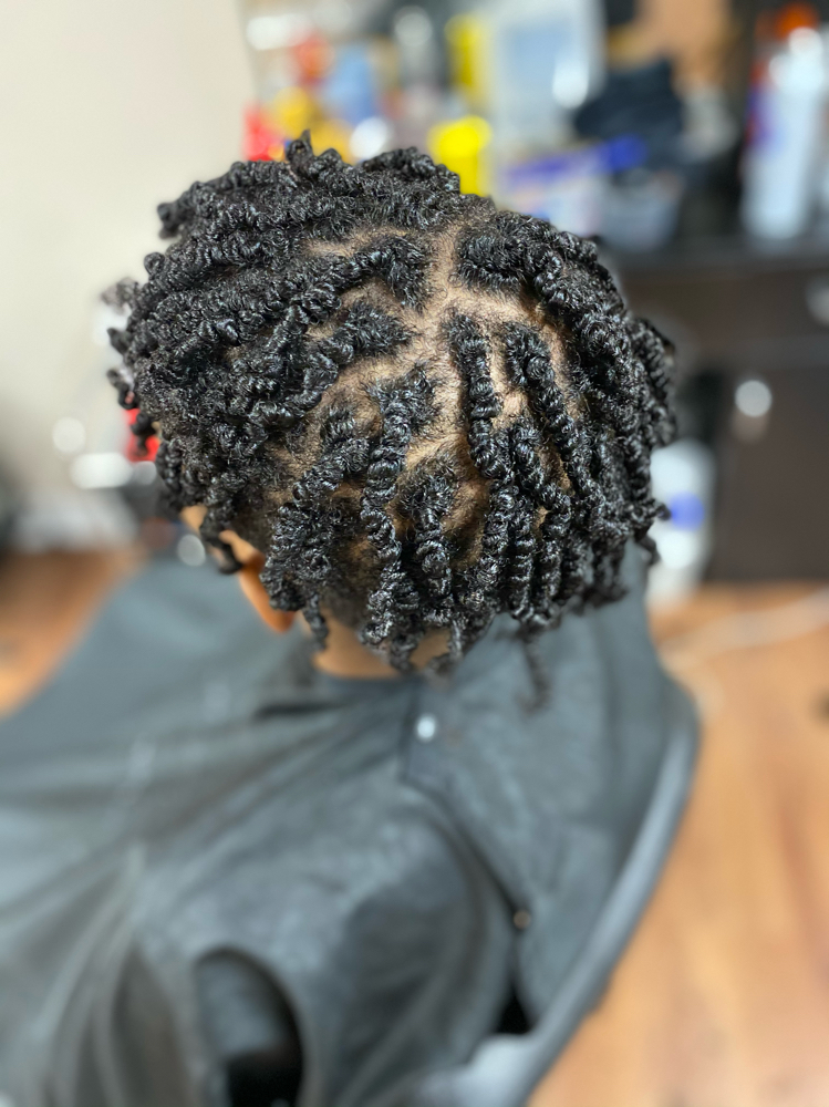 Two Strand Twist