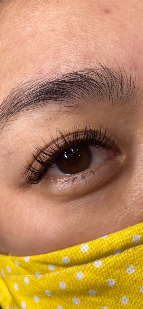 2 WEEK CLASSIC FILL at Impala Lashes LLC in Las Vegas, NV