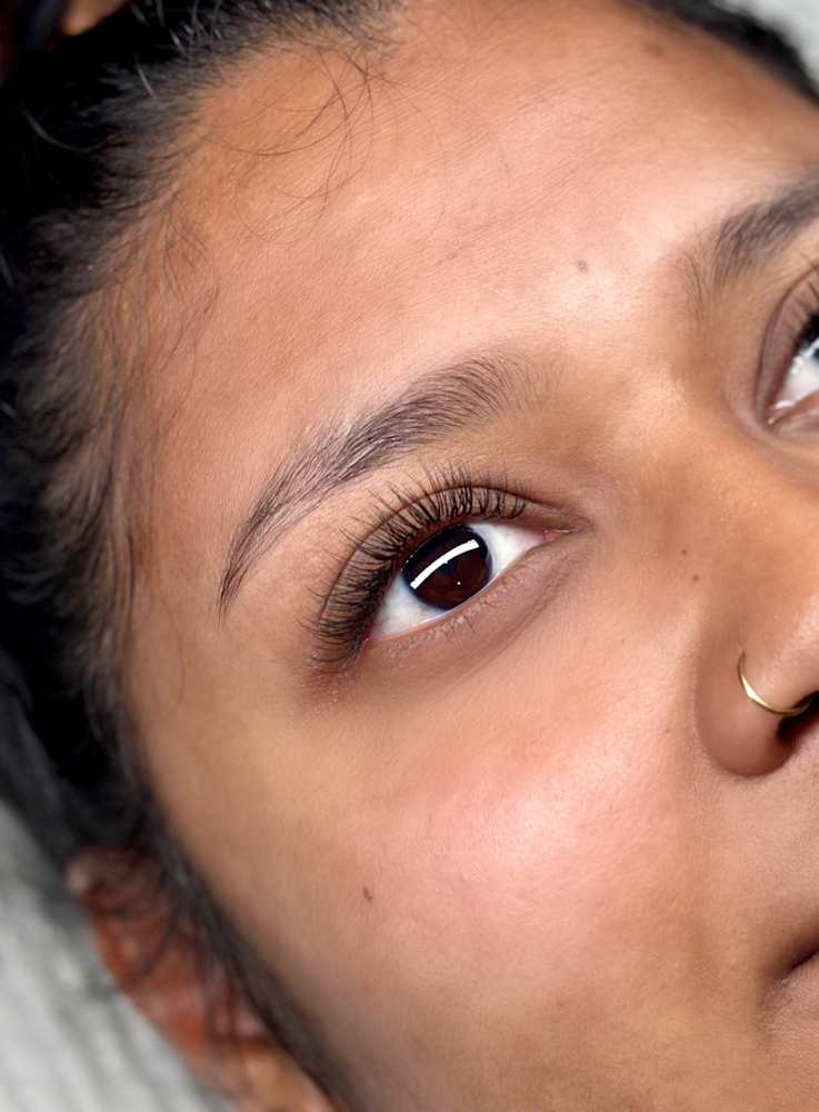 Lash Fill