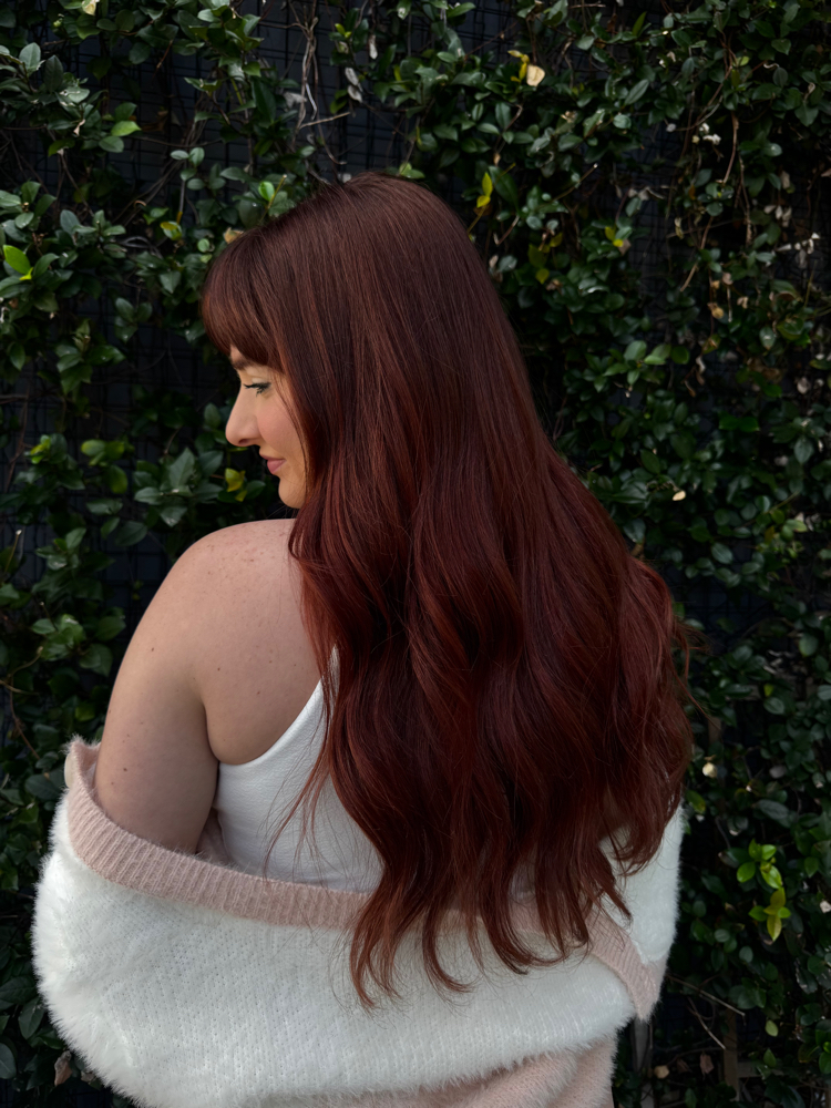 All Over Color at Mane And Tone in Sarasota, FL