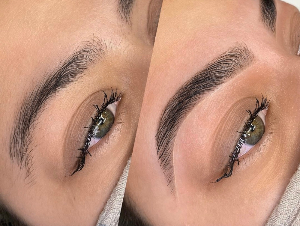 Eyebrow Tint Only