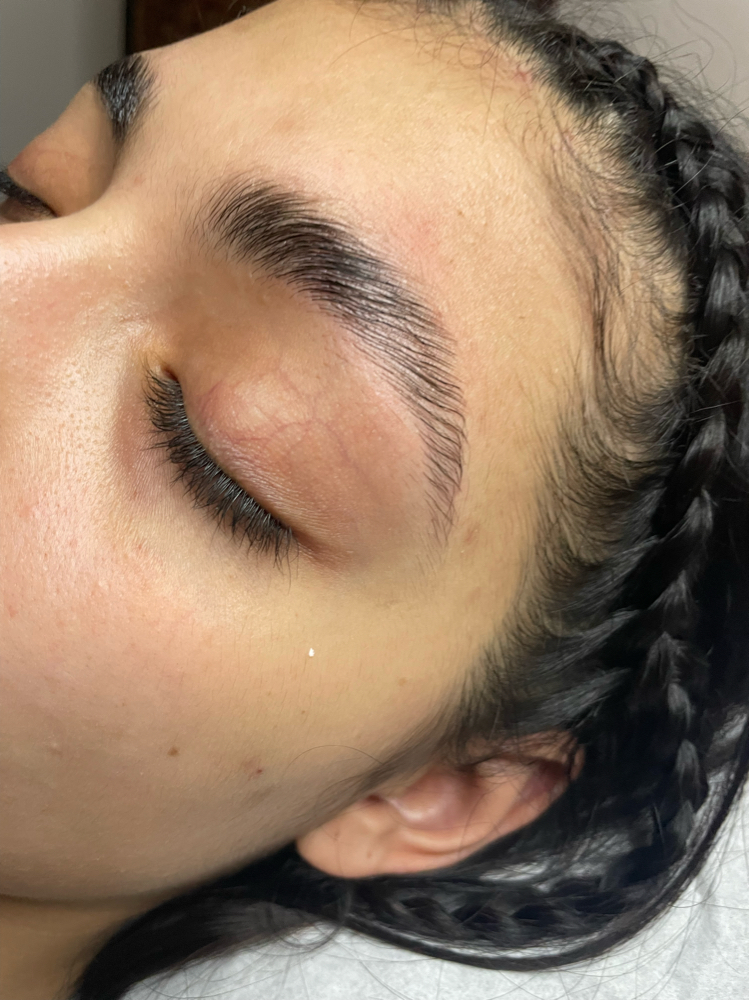 Eyebrow Lamination