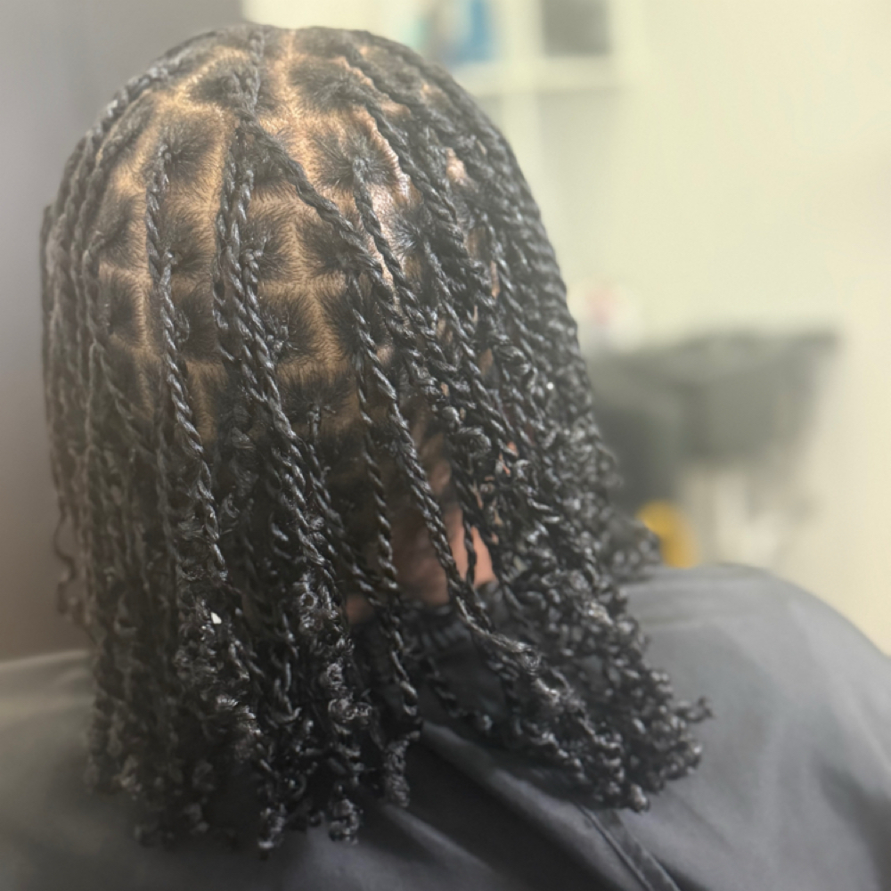 Small Two Strand Twists at Urban Coils Seattle in Seattle, WA