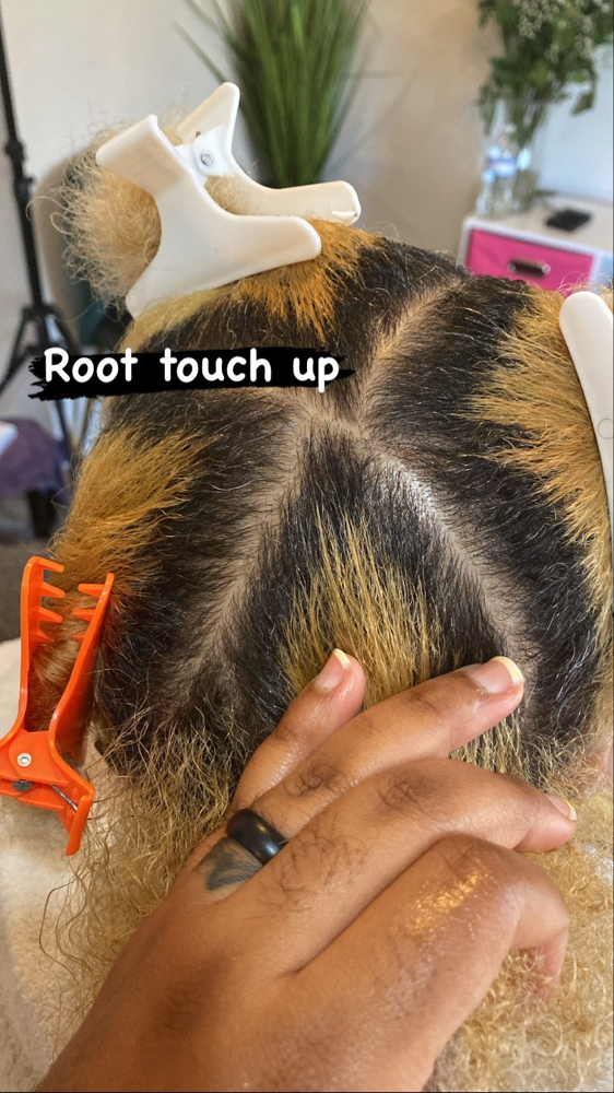 Root Touch Up (blonde Only )