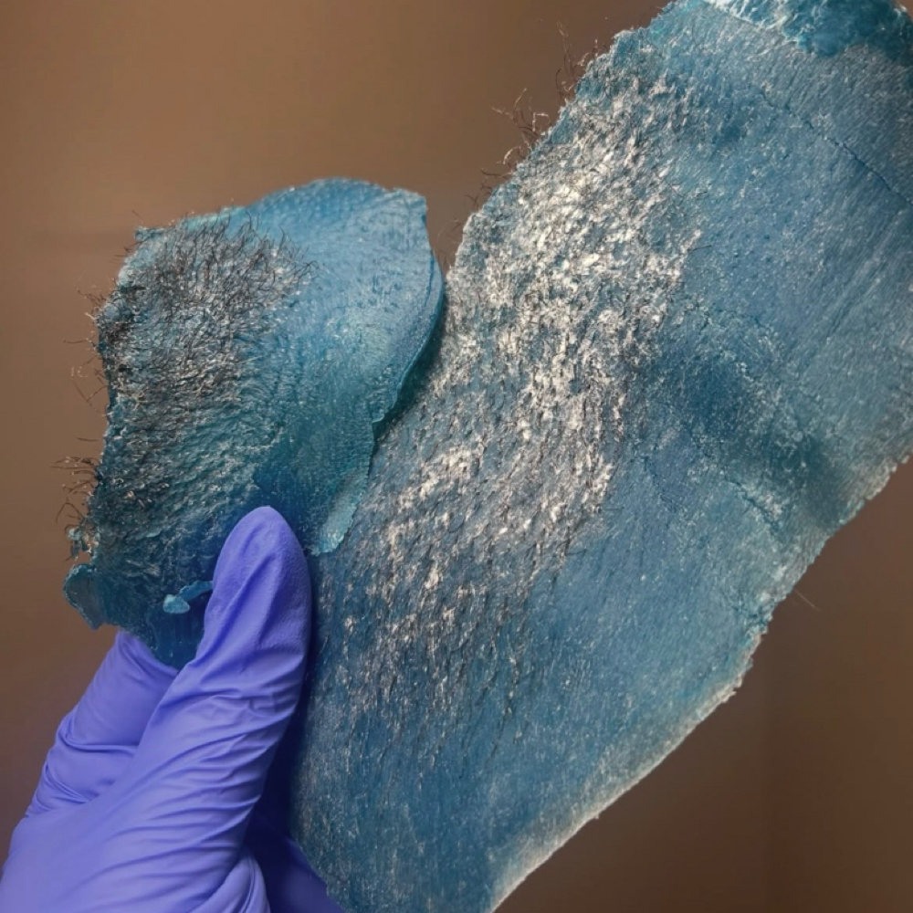 Brazilian Wax at Blessed Beauty LLC. in Hudson Falls, NY