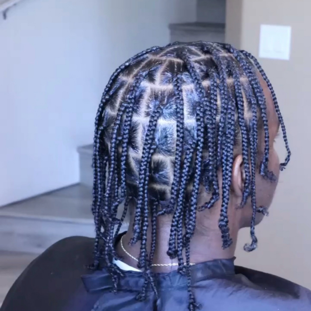 Men's Braids at Rooted Natural LLC in Sacramento, CA