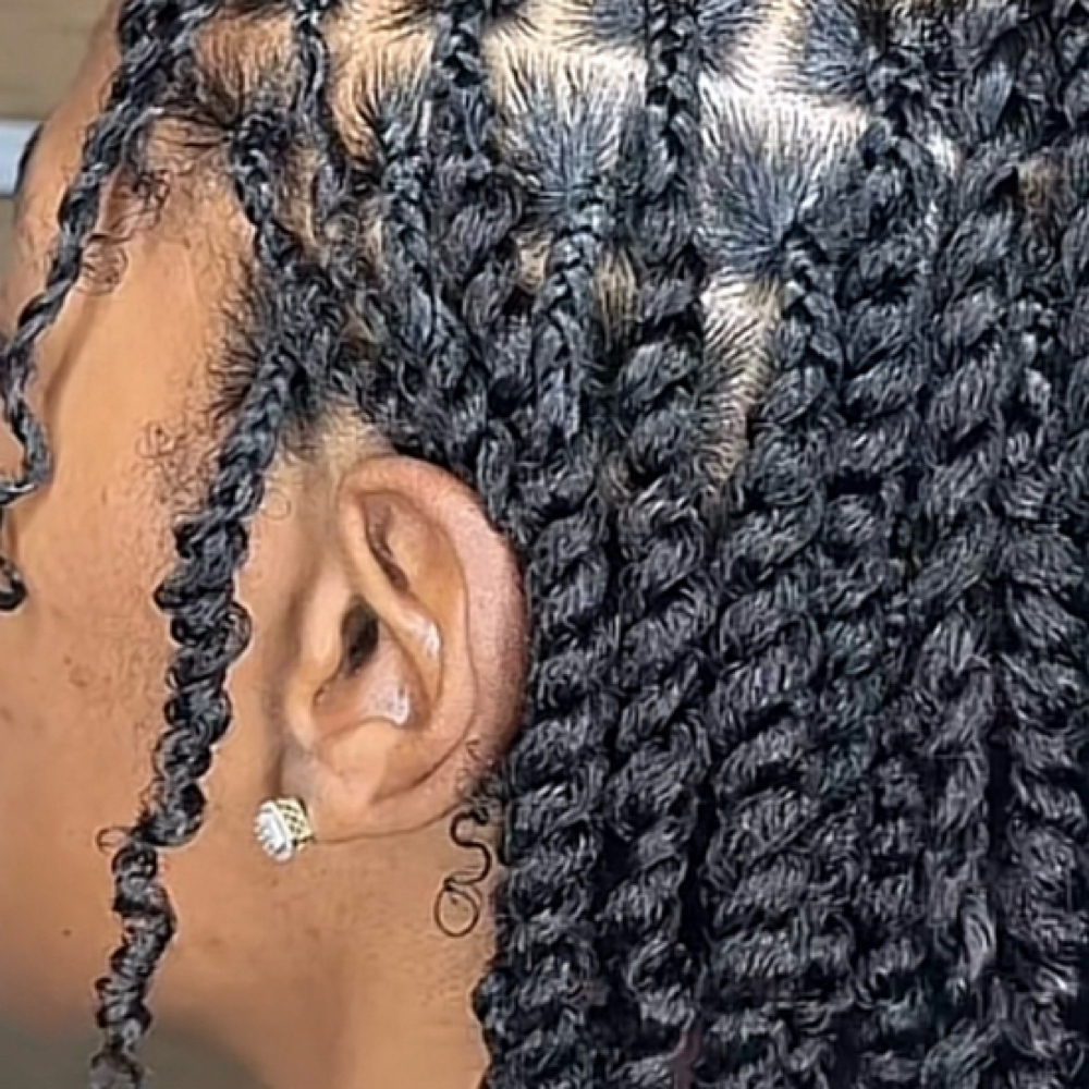 Natural 2 Strand Twist at J and Z BEAUTY BY SHIRLEY in Ozark, AL