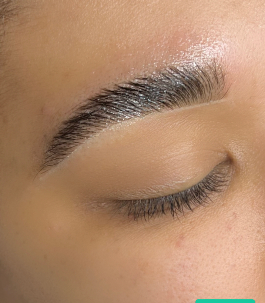 Dominant Brows