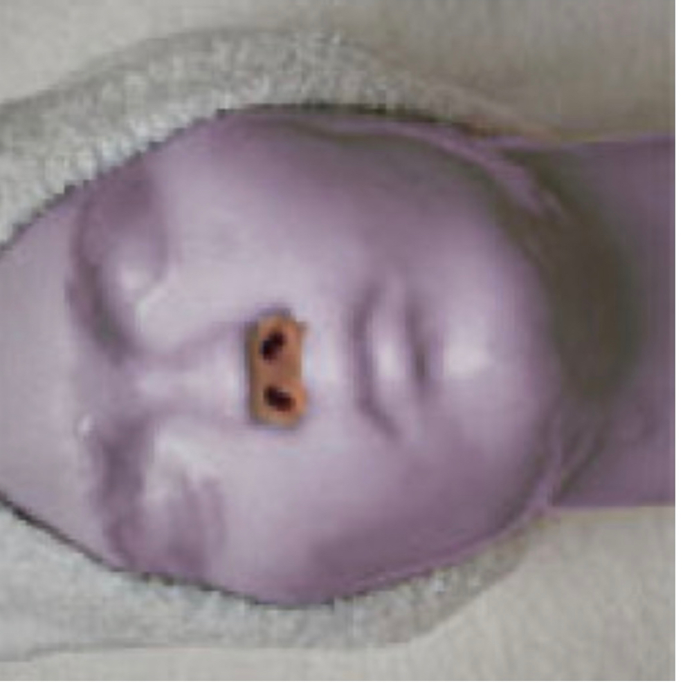 Add on:Peptide Algae mask