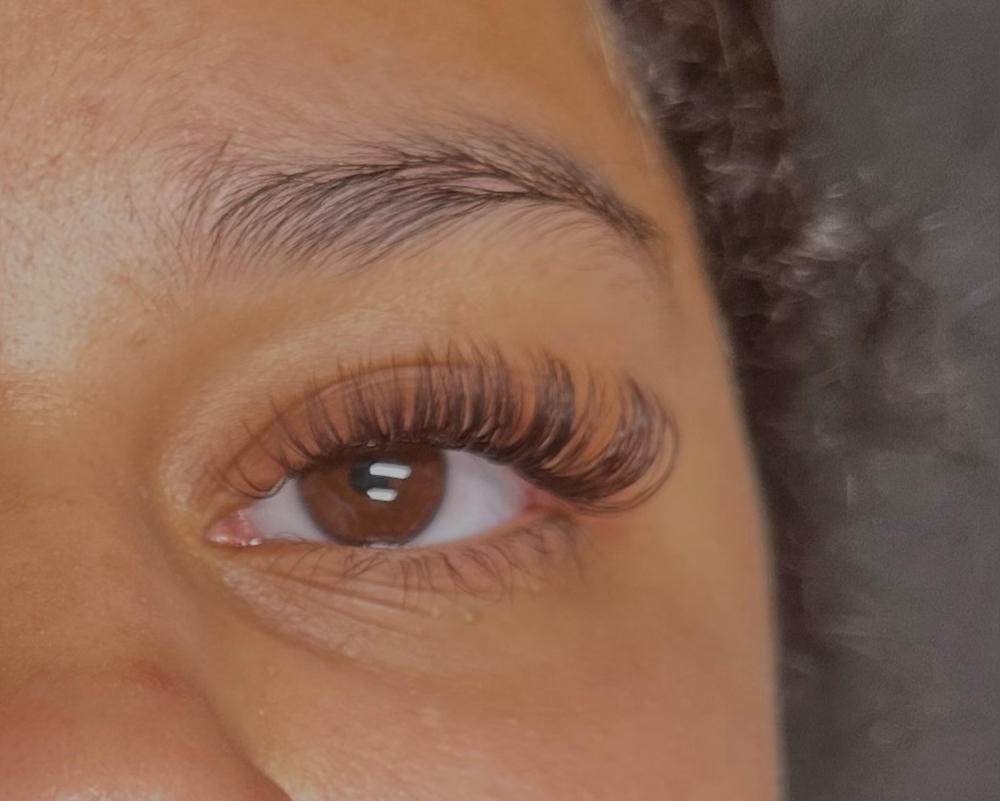 HYBRID BROWN FILL IN