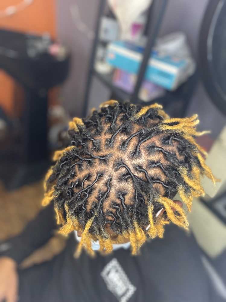 Half Head Loc Retwist Only