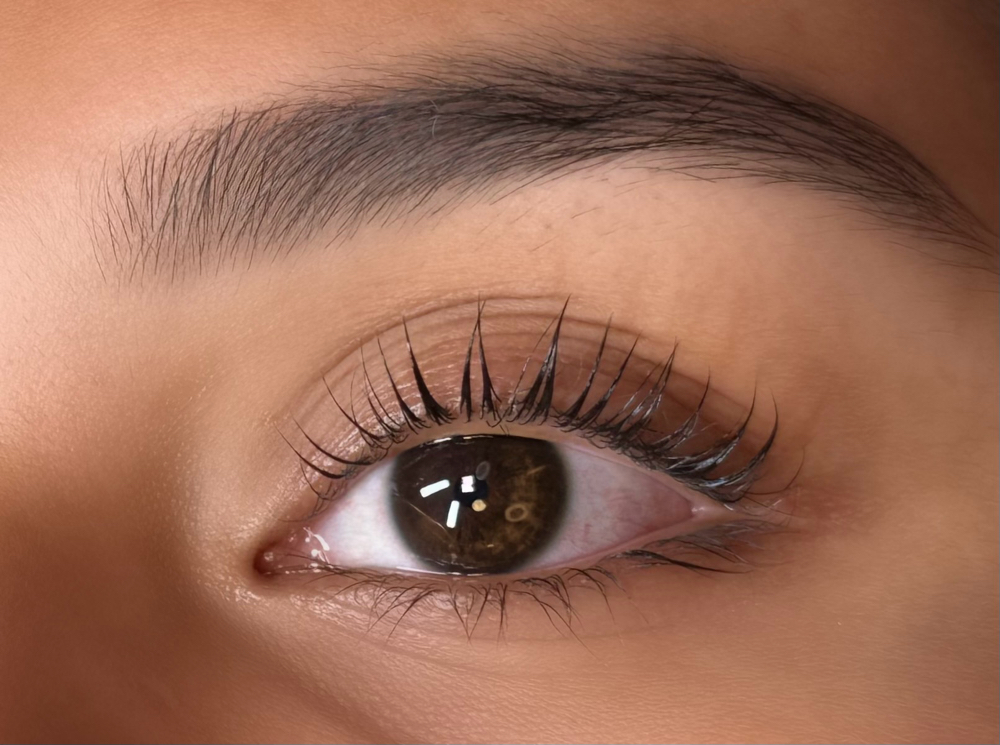 Lash Lift Only No Tint