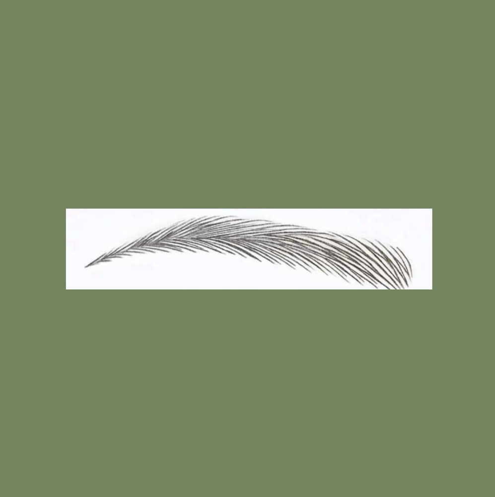 Microblading Touch Up (6-8 Weeks)