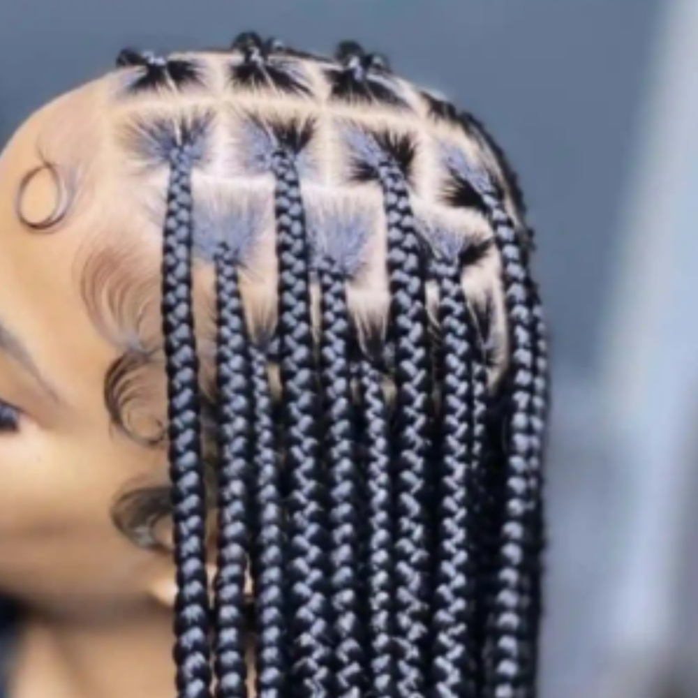Medium Braids at Hair by The Beauty Genius in Houston, TX