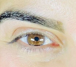 Brow Wax & Henna Brow
