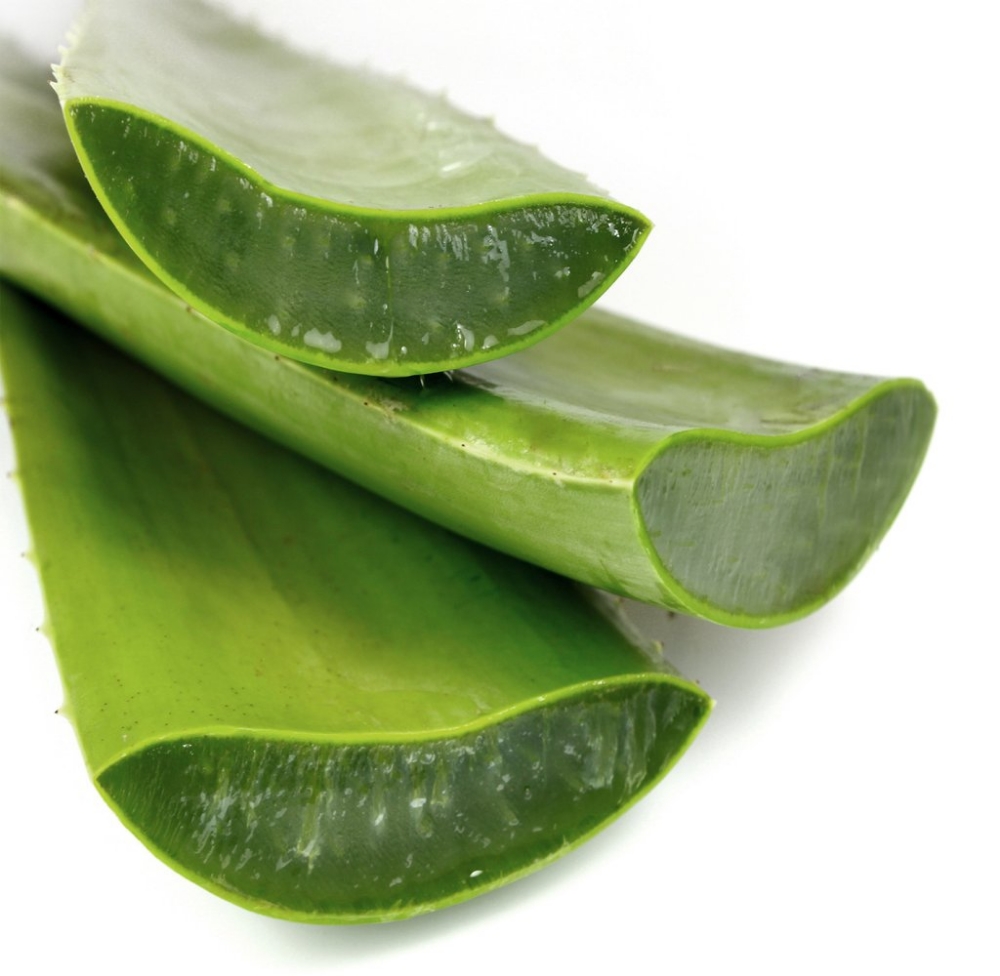 Natural Treatment For Damage Hair