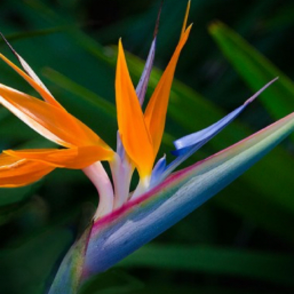 New Client Sessions at Studio Vi, LLC in Washington, MI