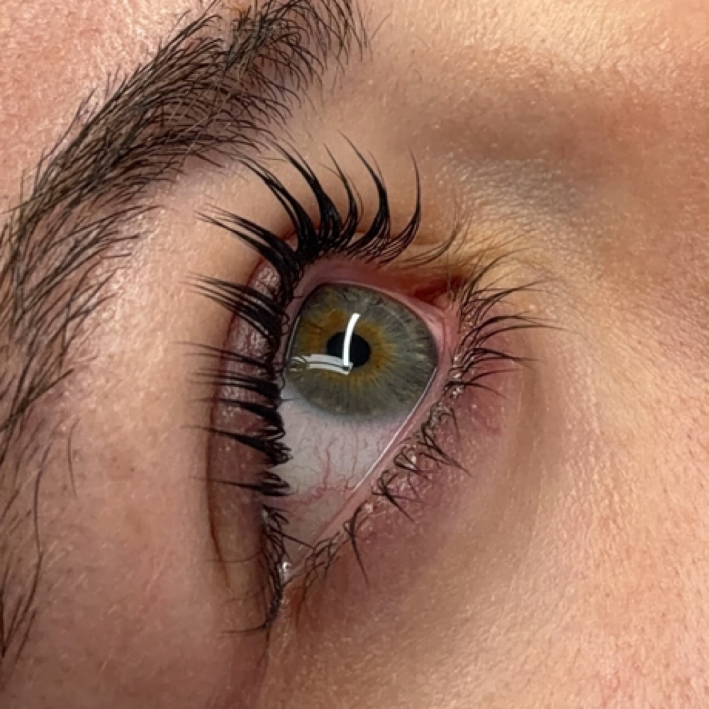 Korean Lash Lift And Tint at Lorehel Lash in Philadelphia, PA