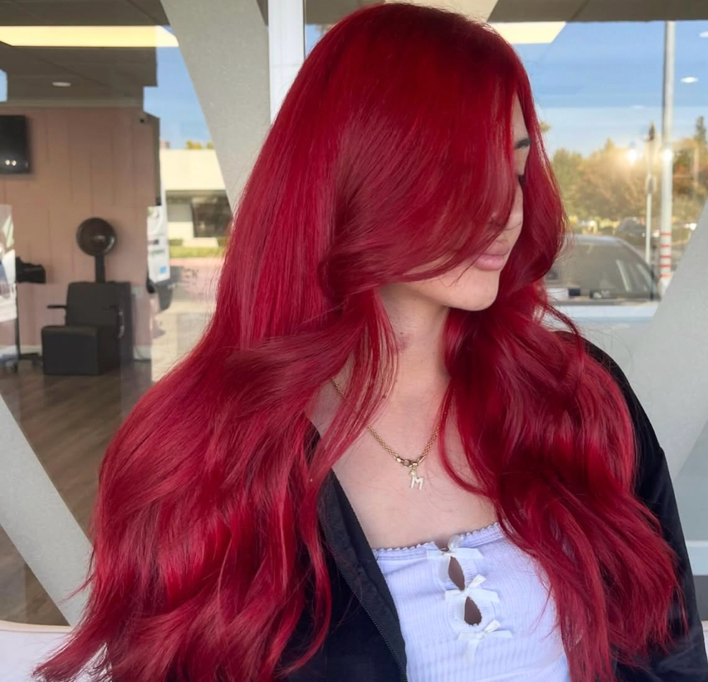 Solid Color (with Lightner )✨ at Hairbyluna in Madera, CA