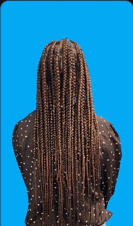 Knotless Braids (Large)