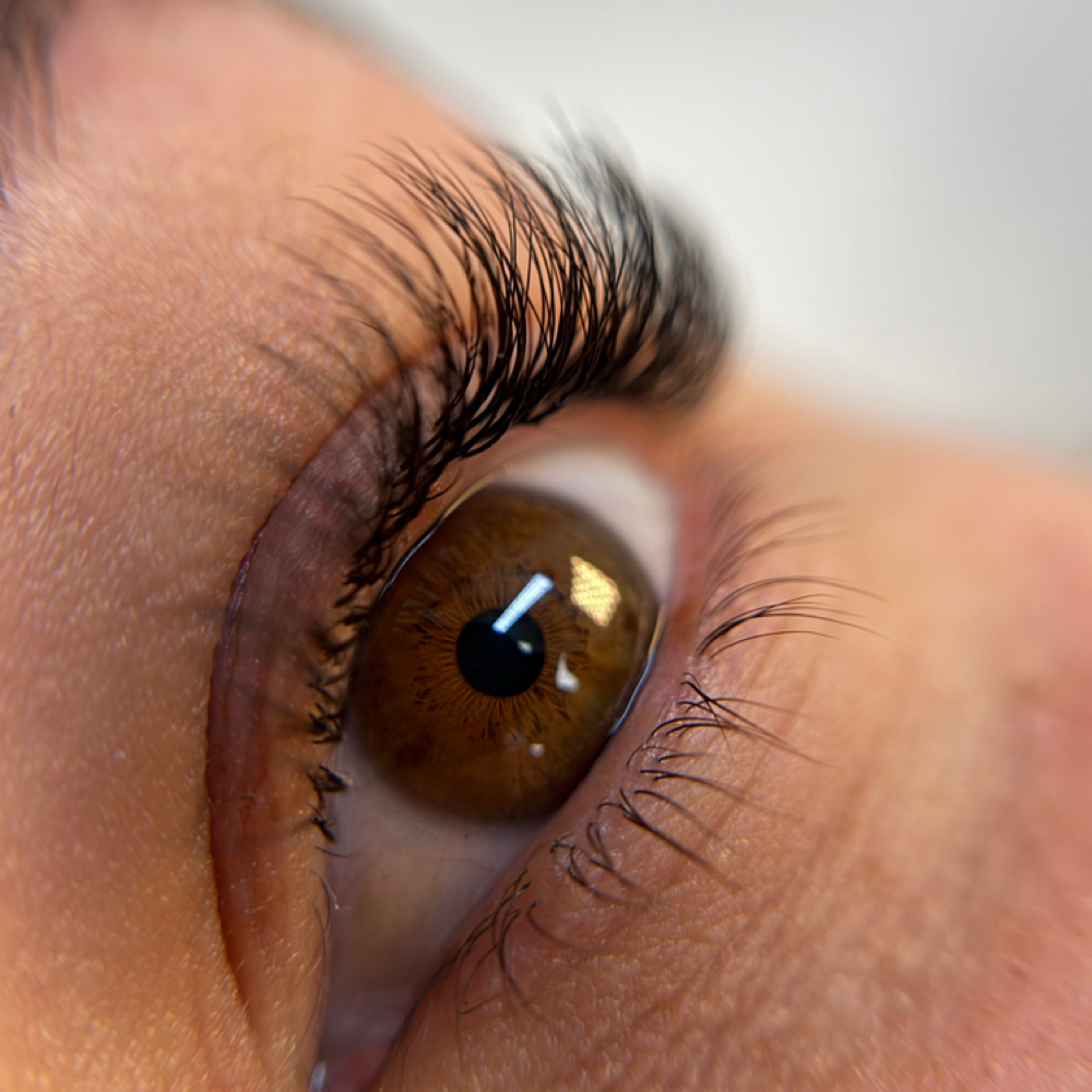 Classic Lash Set at StudioJQ in Miami, FL