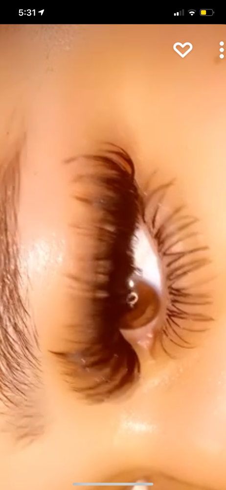 Bottom Lashes
