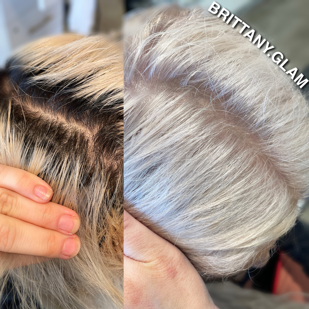 Platinum Root Touchup (6-8 Weeks)