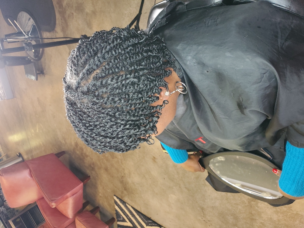 2 Strand Twist/Flat Twist Style