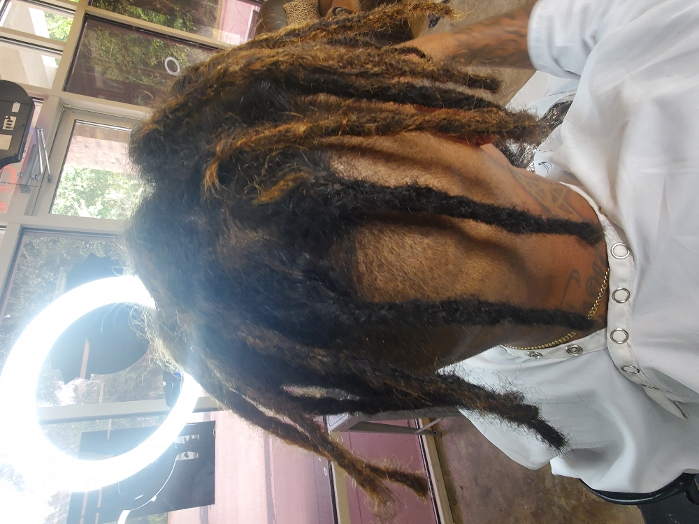 Instant Starter Locs