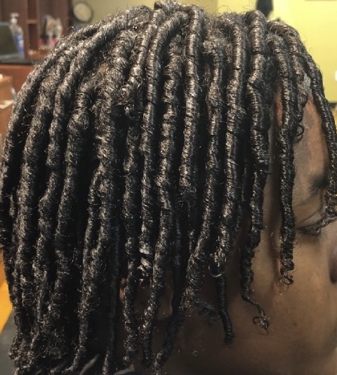 Starter Locs/Two Strand Twist