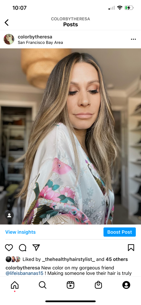 Partial Balayage  HL+ base color