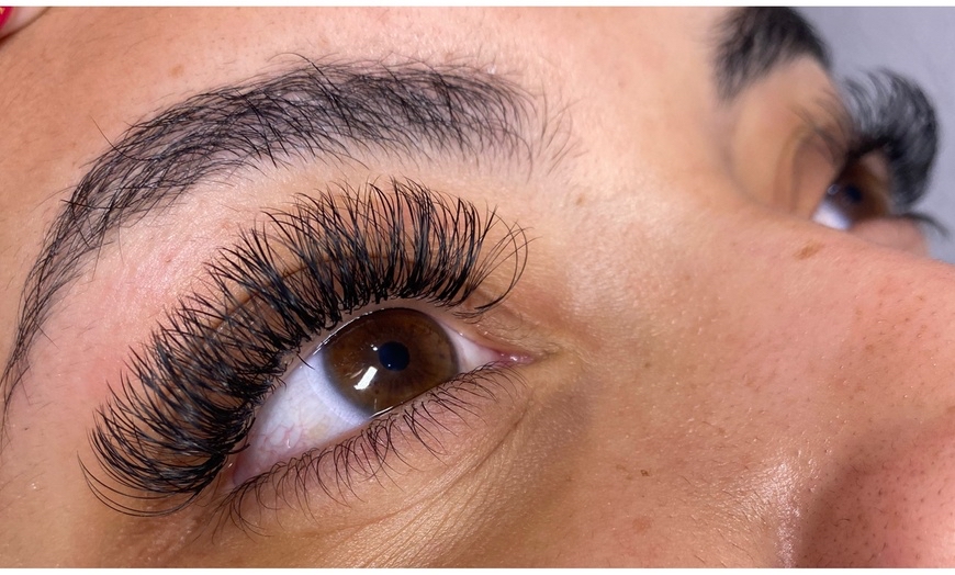 Classic Set Lashes