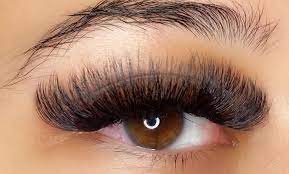 Volume Set Lashes