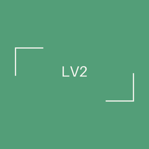 Hair Cut Female (LV2)